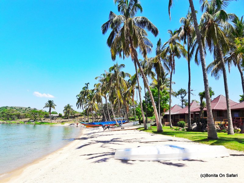 beach adventure networking